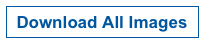 Download All Images