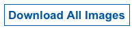 Download All Images