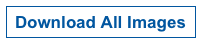 Download All Images